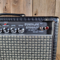 Amplified Nation 2026 Wonderland Overdrive V2 WOD50WEX Combo Near Mint