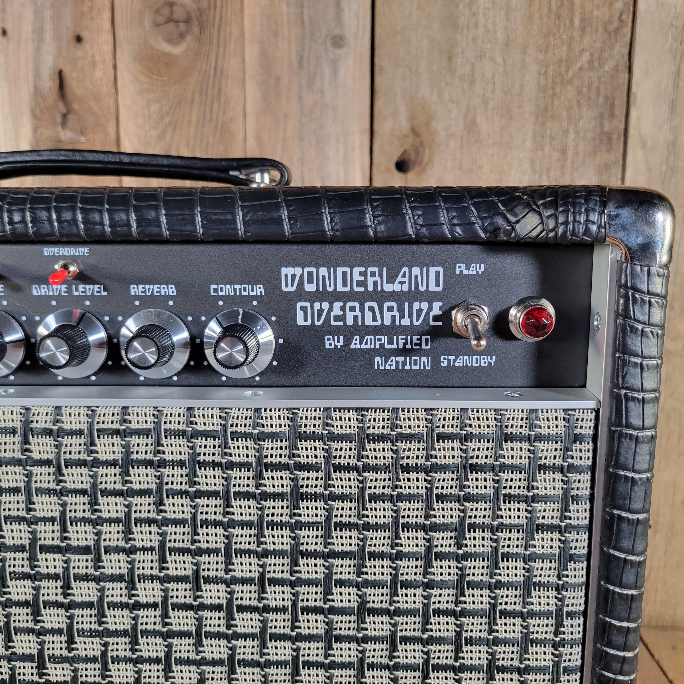Amplified Nation 2026 Wonderland Overdrive V2 WOD50WEX Combo Near Mint