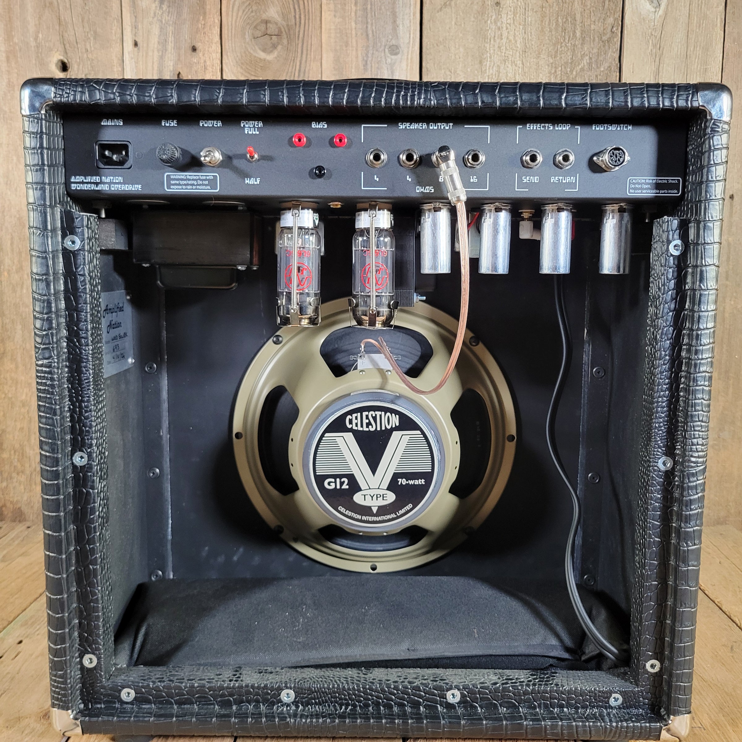 Amplified Nation 2026 Wonderland Overdrive V2 WOD50WEX Combo Near Mint