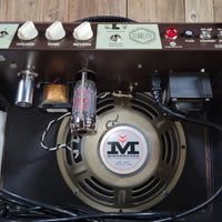 Magnatone Starlite Reverb 10 w/ Paperwork, Near Mint