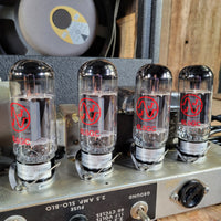 Fender 1969 Twin Reverb JBL Branded w/ Original D120F Speakers, Serviced, Excellent