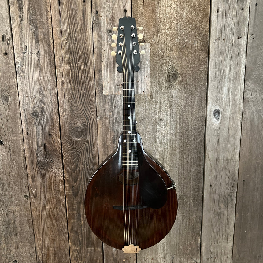 The Gibson Mandolin-Guitar Co. A Jr Mandolin Snakehead Vintage 1925 1