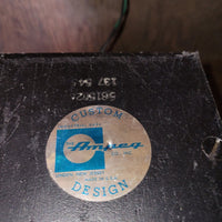 Ampeg 1965 B-15 Portaflex B-15-N-C 1x15 Amp, Excellent - Mahar's Vintage Guitars