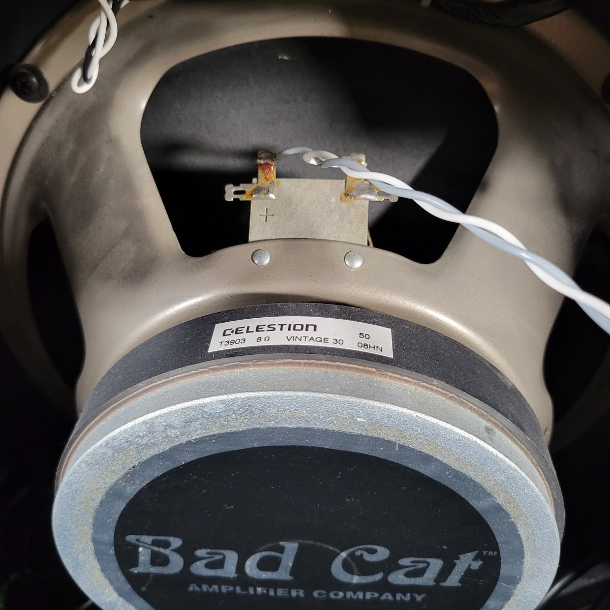 Bad Cat Trem Cat Reverb 30 1x12 Combo 2004 - Mahar's Vintage Guitars