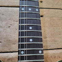 BMG 2010 Brian May Green Special Signature Guitar Korea w/Gig Bag, Near Mint - Mahar's Vintage Guitars