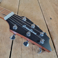 Breedlove Discovery S Concert 2024 w/ Hard Case - Mahar's Vintage Guitars