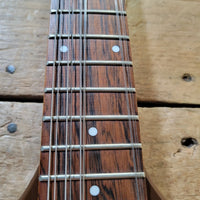 Danelectro Bellzouki 7010 Single Pickup 12-String w/ gig bag Excellent - Mahar's Vintage Guitars