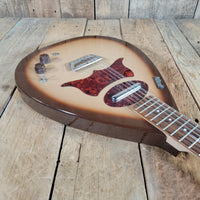 Danelectro Bellzouki 7010 Single Pickup 12-String w/ gig bag Excellent - Mahar's Vintage Guitars