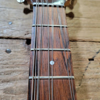 Danelectro Bellzouki 7010 Single Pickup 12-String w/ gig bag Excellent - Mahar's Vintage Guitars