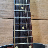 Dobro 1977 Model 36-1 The Rose Engraved Brass Body w/ Original Case Excellent - Mahar's Vintage Guitars