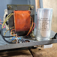 Dynacord Amigo 1964 Single Ended Tube Amp w/ Pekalit "Clapton" knobs - Mahar's Vintage Guitars