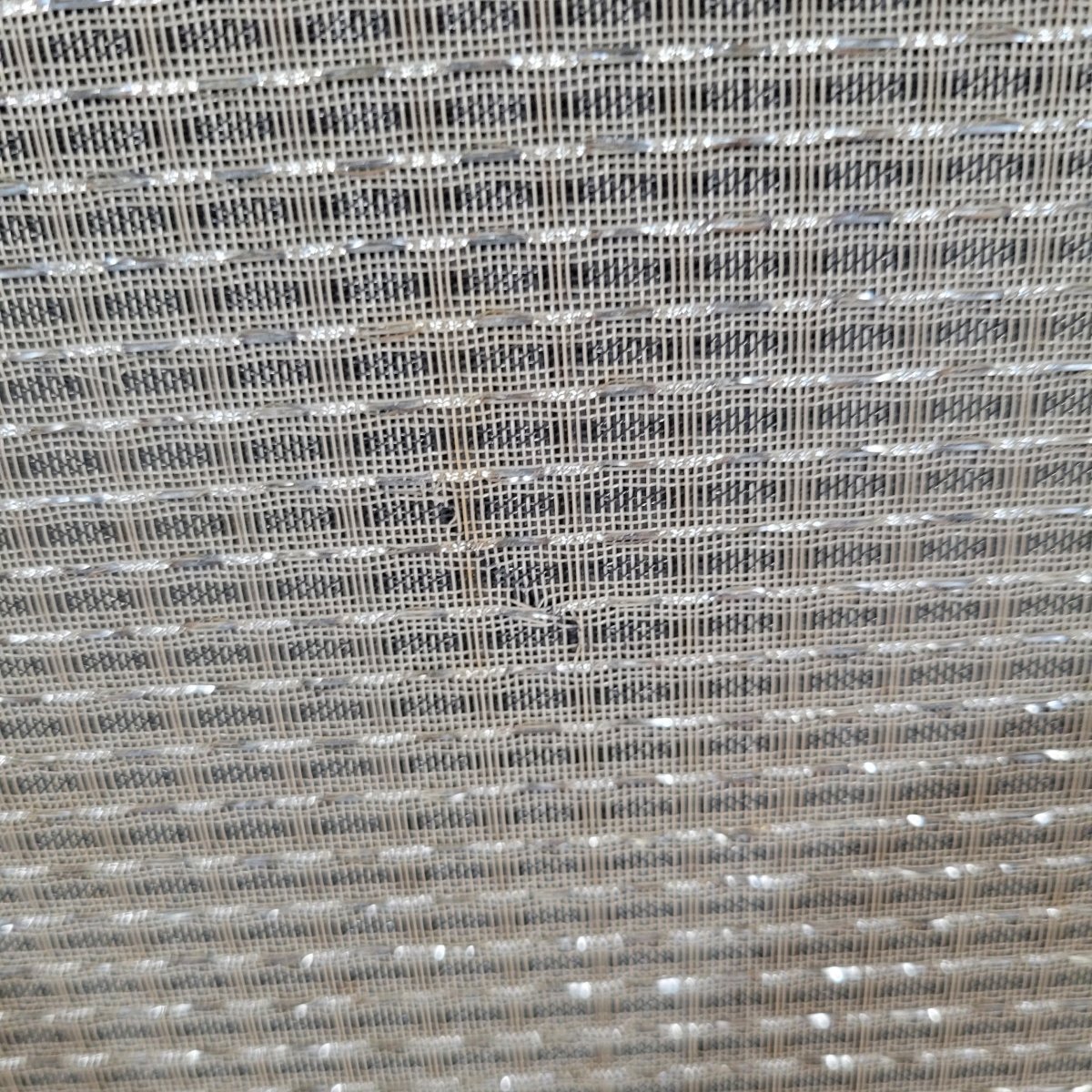 Dynacord Amigo 1964 Single Ended Tube Amp w/ Pekalit "Clapton" knobs - Mahar's Vintage Guitars