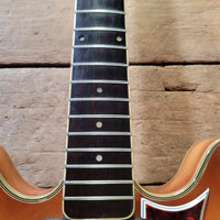 Eko 1963 Barracuda 290 w/ Hard Case Excellent - Mahar's Vintage Guitars