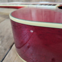 Epiphone Hummingbird H/S Dreadnought Cherry Sunburst with Hard Case 2010s - Mahar's Vintage Guitars