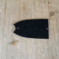 Epiphone Truss Rod Cover 1968 With Screws - Mahar's Vintage Guitars