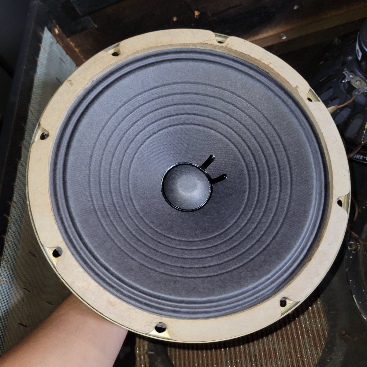 Fender 1964 Concert Amp Pre CBS 4x10 - Mahar's Vintage Guitars