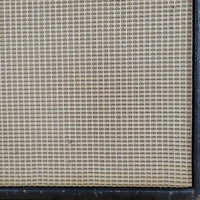 Fender 1967 Princeton Reverb Vintage Black Panel Amp, Excellent - Mahar's Vintage Guitars