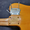 Fender 1969 Telecaster Thinline – Vintage Semi - Hollow Electric Guitar - Mahar's Vintage Guitars