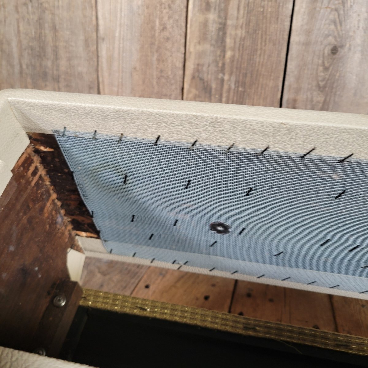 Fender Bassman 6G6 - C Head & Cab 1964 w/ Original Covers - Mahar's Vintage Guitars