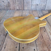 Fender Coronado II Wildwood I “Rainbow Gold” 1967 – Vintage Semi - Hollow Electric Guitar - Mahar's Vintage Guitars