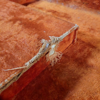 Fender Jaguar 1963 Custom Color Blonde over Ash - Mahar's Vintage Guitars