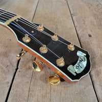 Fender LS - 60 Spring Hill 1995 — 440 Made, Near Mint, OHSC - Mahar's Vintage Guitars