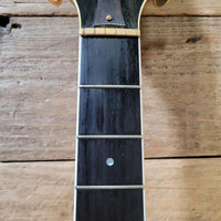 Fender LS - 60 Spring Hill 1995 — 440 Made, Near Mint, OHSC - Mahar's Vintage Guitars