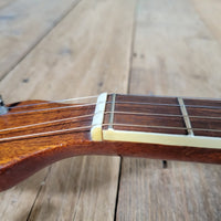 Framus Tenor 4 String Banjo w/ Chipboard Case - Mahar's Vintage Guitars