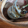 Gibson “The SG” 1979 – Original Chainsaw Case, Vintage Walnut Finish - Mahar's Vintage Guitars