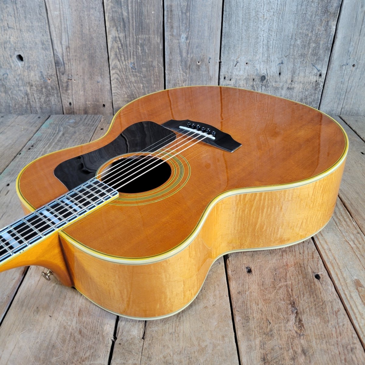 Guild 1974 F-50 BLD Restored w/ Original Case - Mahar's Vintage Guitars