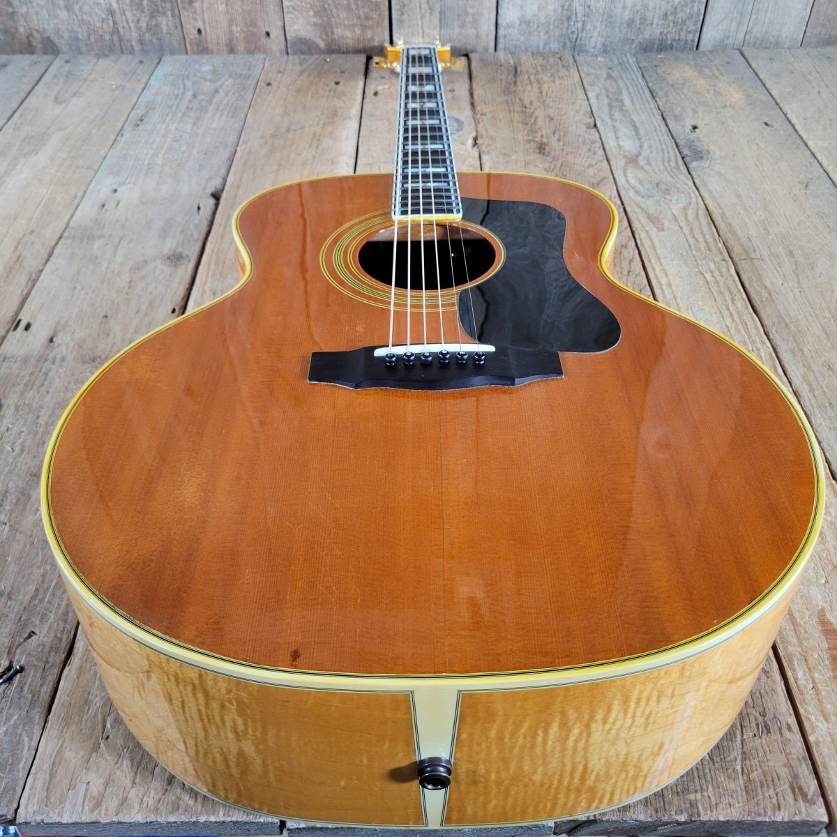 Guild 1974 F-50 BLD Restored w/ Original Case - Mahar's Vintage Guitars
