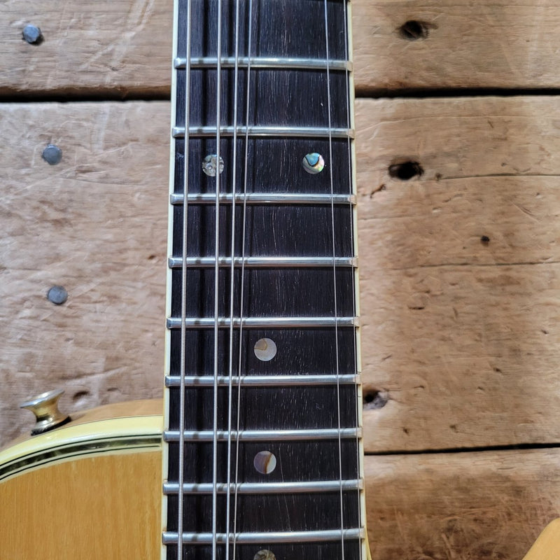 Ibanez Professional Model 2671 1977 – Vintage MIJ Electric Guitar - Mahar's Vintage Guitars