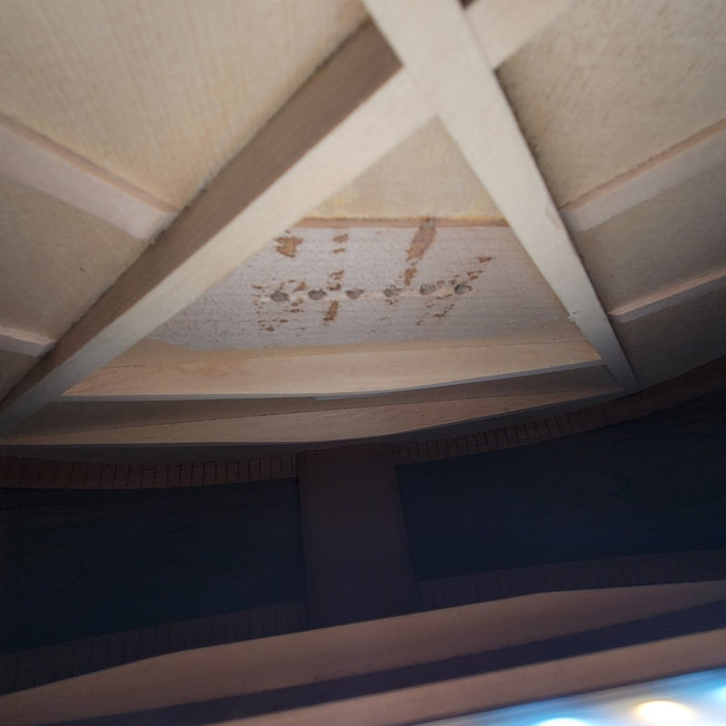 Larrivee C - 10b Brazilian 1996 30th Anniversary Limited Edition 20 of 100 - Mahar's Vintage Guitars