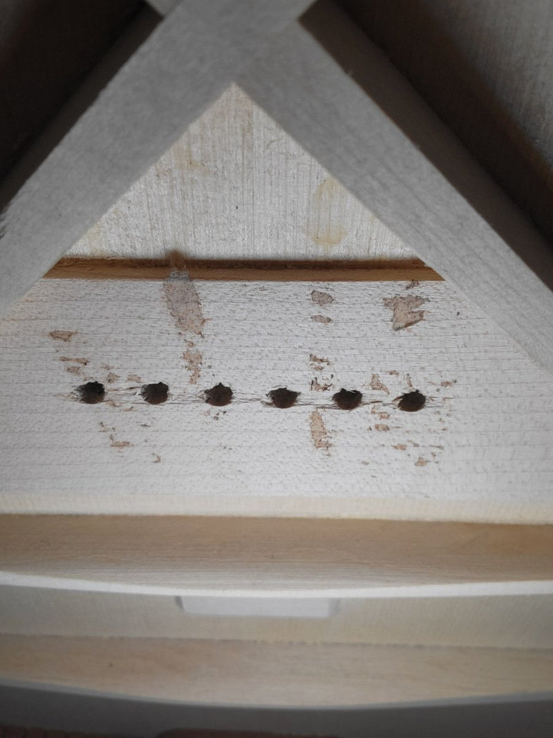 Larrivee C - 10b Brazilian 1996 30th Anniversary Limited Edition 20 of 100 - Mahar's Vintage Guitars