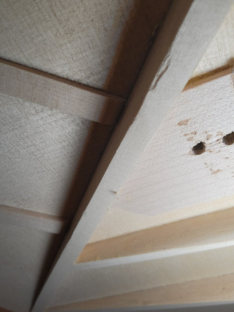 Larrivee C - 10b Brazilian 1996 30th Anniversary Limited Edition 20 of 100 - Mahar's Vintage Guitars