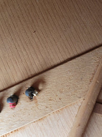 Martin 0 - 21 Acoustic Guitar 1930 – 1 of Only 103 Made in 1930 - Mahar's Vintage Guitars