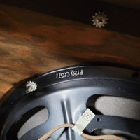 Martin 112T Combo Amp 1960 DeArmond - Made Mint Condition - Mahar's Vintage Guitars