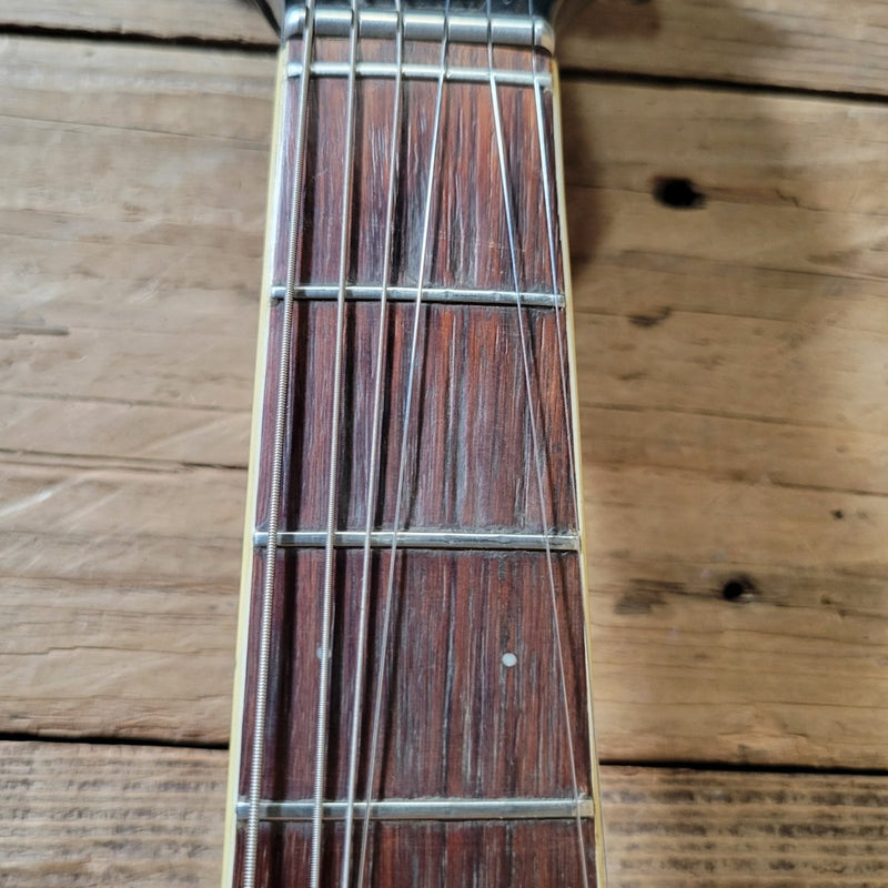 Mosrite Celebrity with Lots of Changes No Case 1960s - Mahar's Vintage Guitars