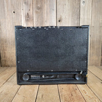 Polytone 1975 102 Guitar Amp Combo, Excellent - Mahar's Vintage Guitars