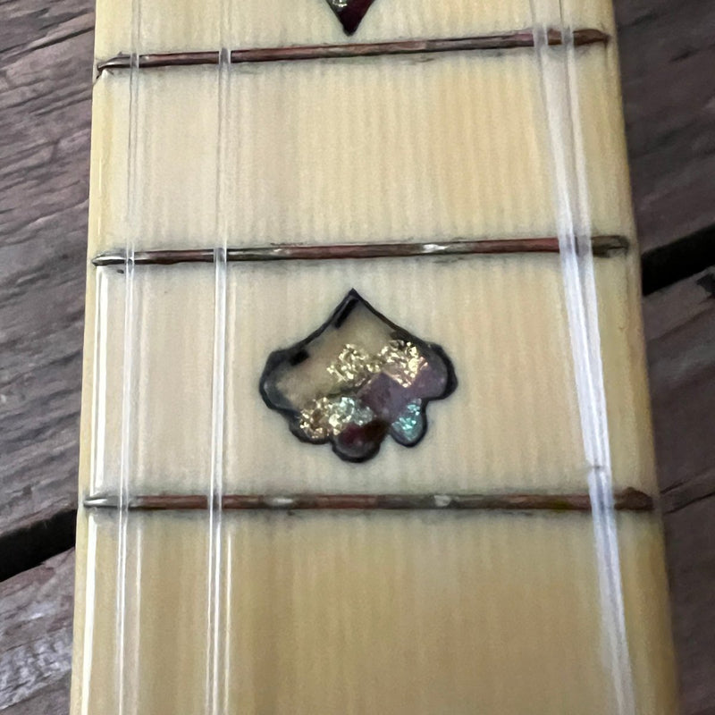 Rare 1930s "The Gibson" Poinsettia Ukulele – Hand - Painted Style 3 Soprano with Floral Motif 1926 - 1929 - Mahar's Vintage Guitars
