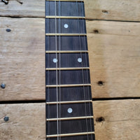 Rickard Dobson Banjo Custom Order w/ Metal Frailing Plate, Guardian Case, Near Mint - Mahar's Vintage Guitars