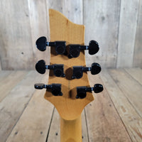 Schecter HotRod 39 with gig bag 2009 - Mahar's Vintage Guitars