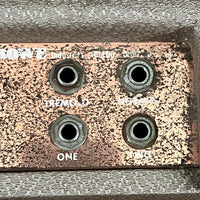 SOLD - DeArmond R25T 2x10" Amplifier 1960 Brown - Mahar's Vintage Guitars