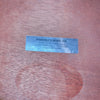SOLD - Guild D - 25 Factory Black 1980 - Mahar's Vintage Guitars