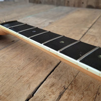 SOLD - Ibanez Professional 2680 "Bob Weir" 1978 Natural - Mahar's Vintage Guitars