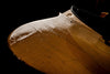 SOLD - Nacho Blackguard V Neck Stock Neck Humbucker 2020 Butterscotch Blonde - Mahar's Vintage Guitars