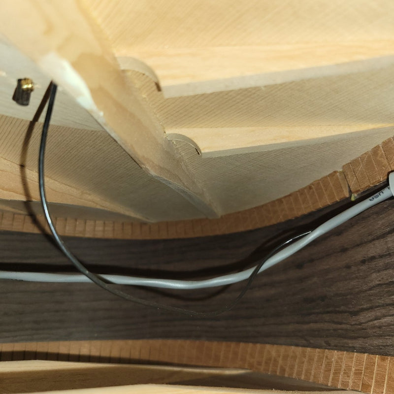 Taylor DCSM Dan Crary Signature Model Acoustic Guitar – 2000 with Case - Mahar's Vintage Guitars