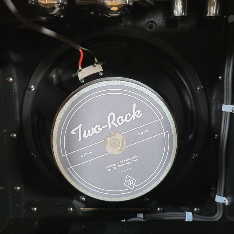 Two - Rock NEW Studio Signature Combo 2025 Gray Vinyl & Cane - Mahar's Vintage Guitars