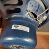 Unbranded Super 5E4 Clone with 1959 Jensen speakers Brent Bagby Solderhaus 2020 - Mahar's Vintage Guitars