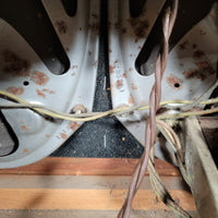 Valco Alkire E Harp Amp 1957 - Mahar's Vintage Guitars